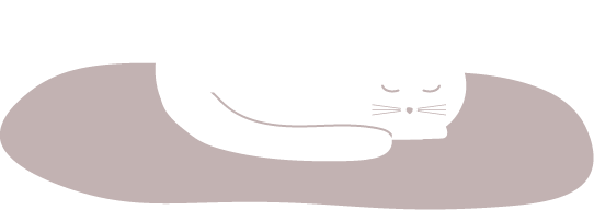 A white cat asleep on a cat bed